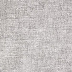 Load image into Gallery viewer, Element Silver Dollar