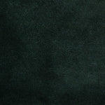 Load image into Gallery viewer, Posh Kale (Velvet)
