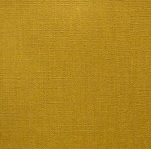 Lifestyle HD Mustard