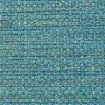 Load image into Gallery viewer, Notion Thunderbird
